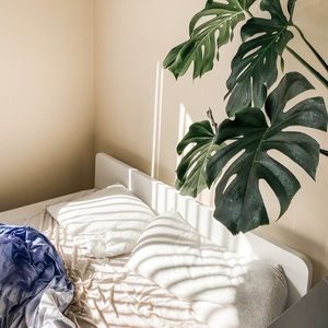 Meet your Posher, Jezelle